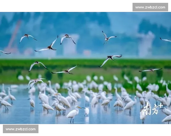 2026年春季国际摄影大赛征稿启事 聚焦自然与人文的视觉奇迹